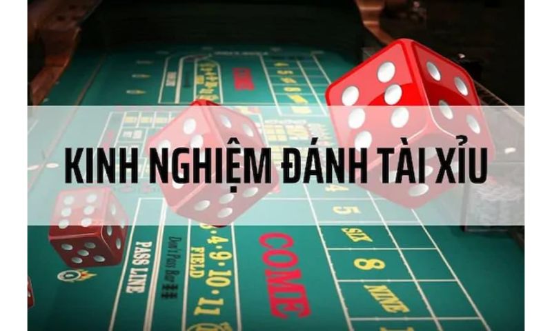 Mẹo chơi tài xỉu hiệu quả.